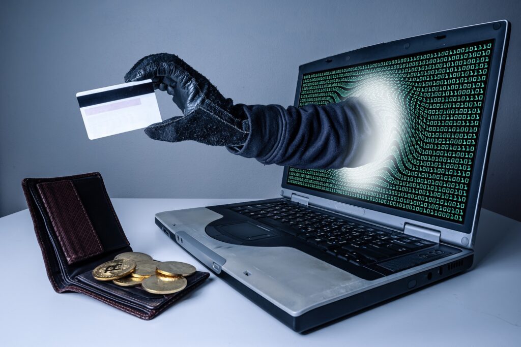 Online transaction security, How machine learning detects fraudulent transactions, Protecting online stores from cyber fraud